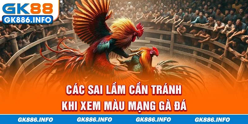 Các sai lầm cần tránh khi xem màu mạng gà đá
