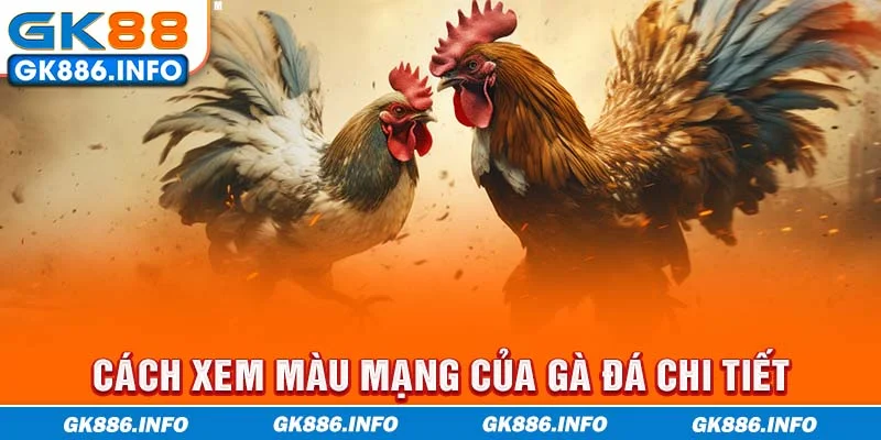 Cách xem màu mạng của gà đá chi tiết