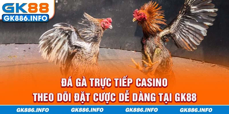 Đá Gà Trực Tiếp Casino - Theo Dõi Đặt Cược Dễ Dàng Tại GK88