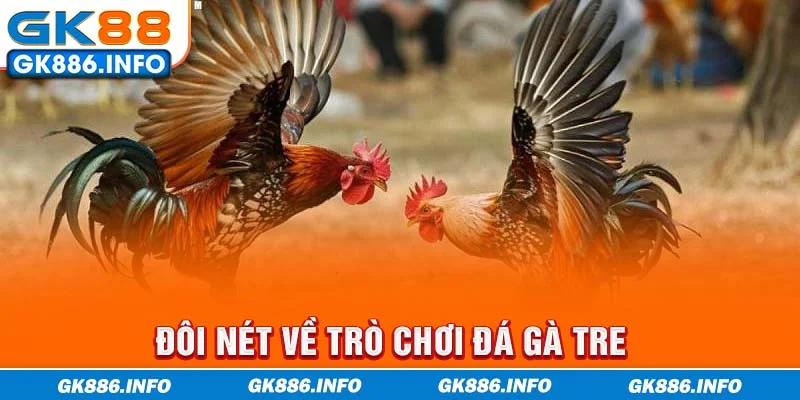 Đôi nét về trò chơi đá gà tre