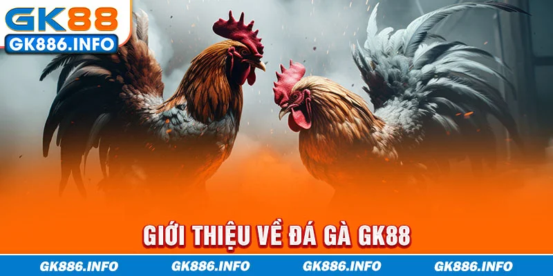 Giới thiệu về đá gà GK88