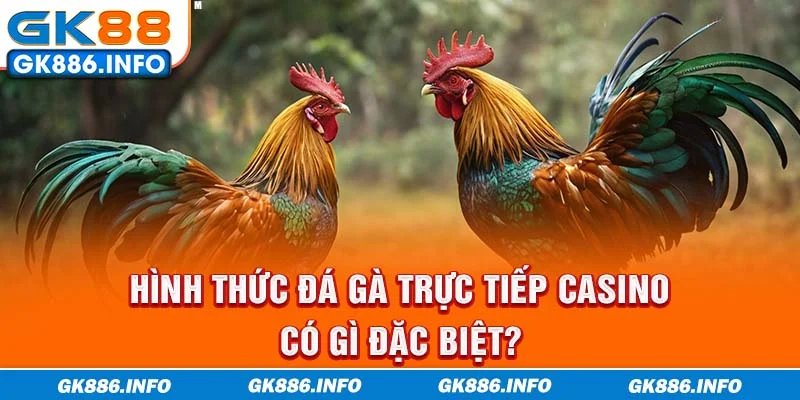 Hình thức đá gà trực tiếp Casino có gì đặc biệt?