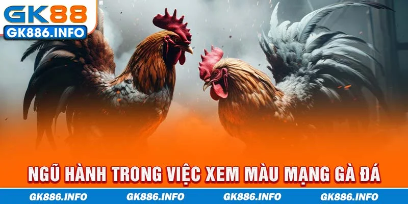 Ngũ hành trong đá gà - Phân loại màu mạng gà