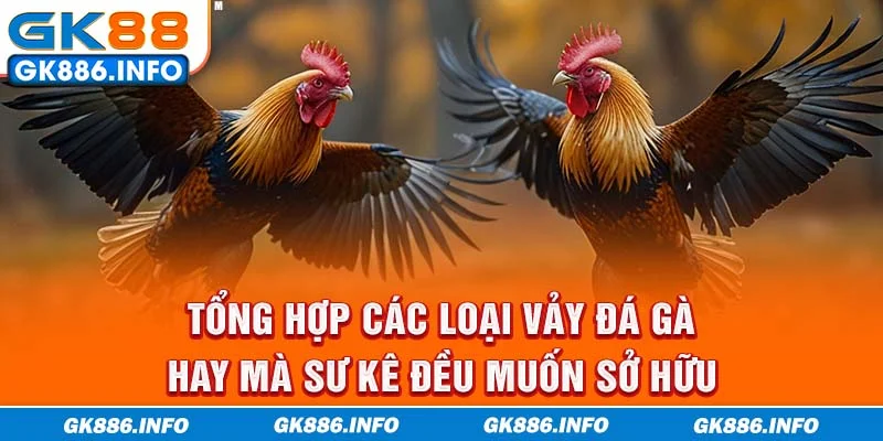 Tổng Hợp Các Loại Vảy Đá Gà Hay Mà Sư Kê Đều Muốn Sở Hữu