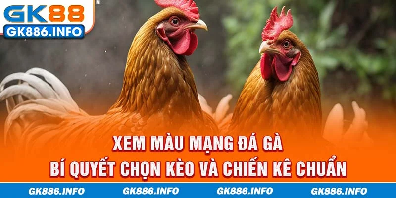 Xem Màu Mạng Đá Gà - Bí Quyết Chọn Kèo Và Chiến Kê Chuẩn