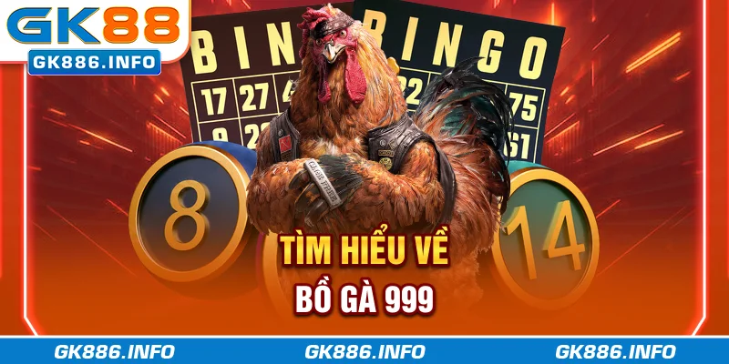 Tìm hiểu về Bồ Gà 999